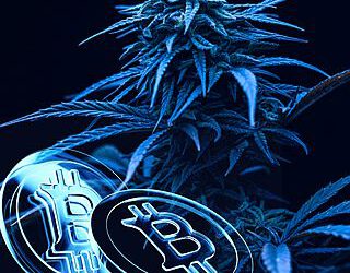 Cannabis and Cryptocurrency